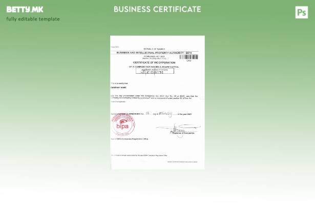 Модерен стил Шаблон за сертификат за корпорација на Намибија